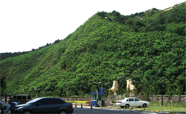 環境生態性治理技術