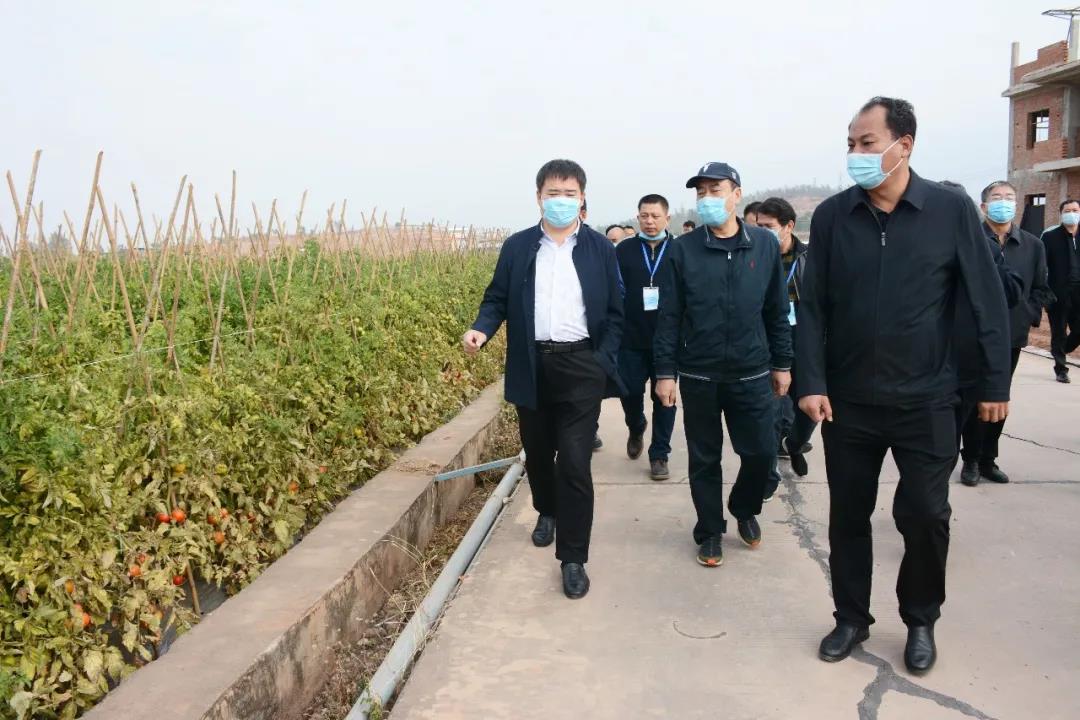 微信圖片_20210106151117.jpg 微信圖片_20210106151117.jpg