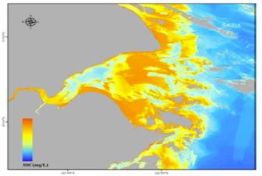 水質(zhì)遙感監(jiān)測(cè)技術(shù)